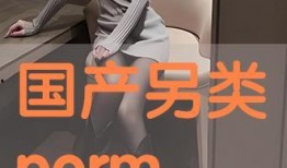 另类国产在线,另类国产在线的崛起与影响