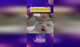 国产吧在线视频观看