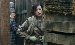 剧情国产,国破山河在