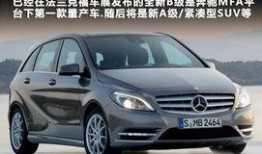 a级国产,引领行业发展的创新力量