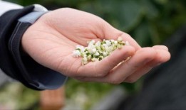 亚洲 国产 熟,国产熟品鉴之旅