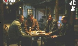 剧情国产,国破山河在