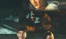 剧情国产,国破山河在