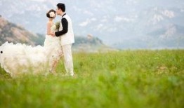 青青青草国产免费,国产影视的清新之作