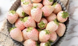 水莓100完全国产免费,国产免费，引领健康生活新潮流