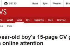 国产15页,深度解析我国创新成果与未来展望