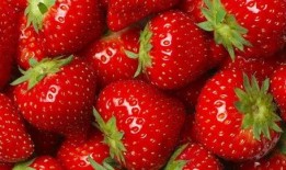 水莓100国产视频,探寻国产影视新高度