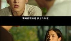 国产国语,传承与创新的艺术之旅