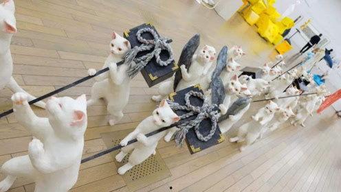 娱乐吃瓜君动画,揭秘娱乐圈幕后故事